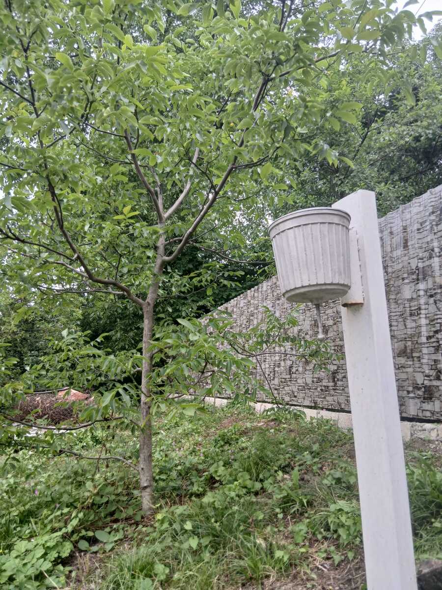 İcarəyə verilir 3 otaqlı həyət evi/bağ evi 90 m² — Ev, villa, Quba (7)