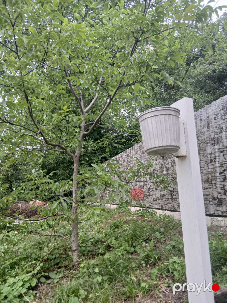 İcarəyə verilir 3 otaqlı həyət evi/bağ evi 90 m² — Ev, villa, Quba (7)