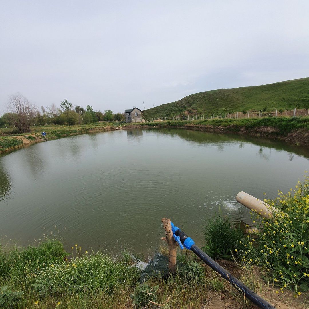 Satılır torpaq 320 sot — Torpaq, Şamaxı (2)