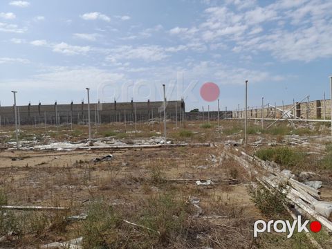 135 sot, Biznes üçün, Kupça (Çıxarış)