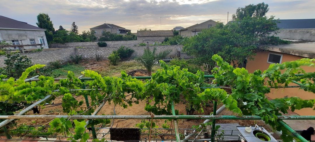 Satılır torpaq 7 sot — Torpaq, Bakı (3)