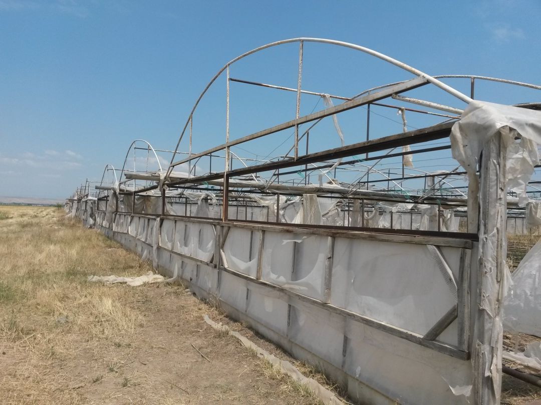 Satılır torpaq 646 sot — Torpaq, Şəmkir (10)