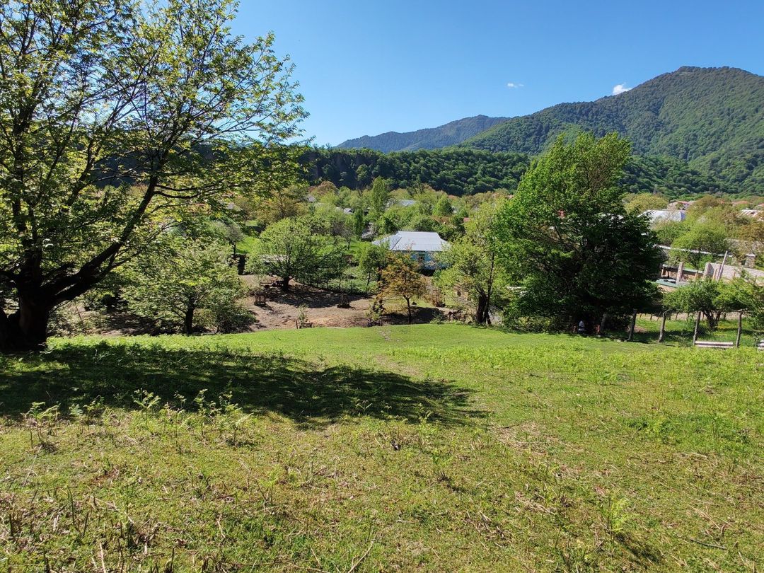 Satılır torpaq 41 sot — Torpaq, Qəbələ (6)