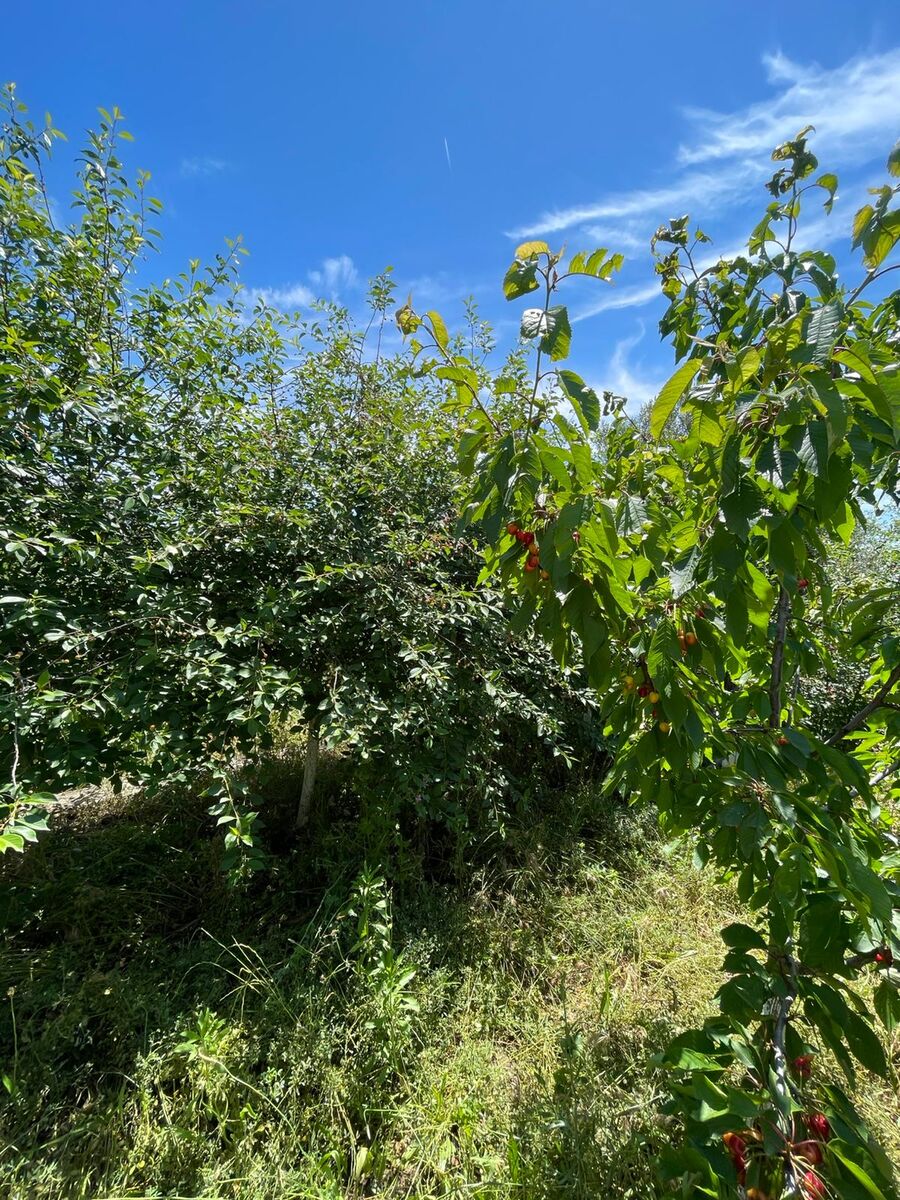 Satılır 5 otaqlı həyət evi/bağ evi 190 m² — Ev, villa, Bakı (7)