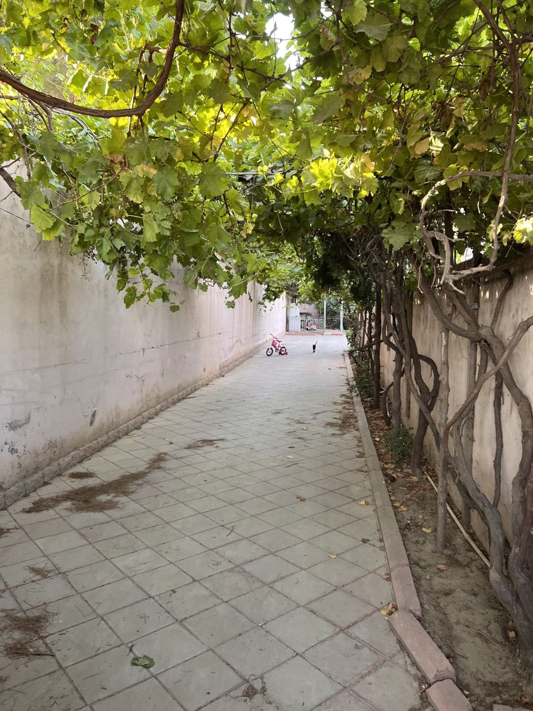 İcarəyə verilir 3 otaqlı həyət evi/bağ evi 90 m² — Ev, villa, Bakı (3)
