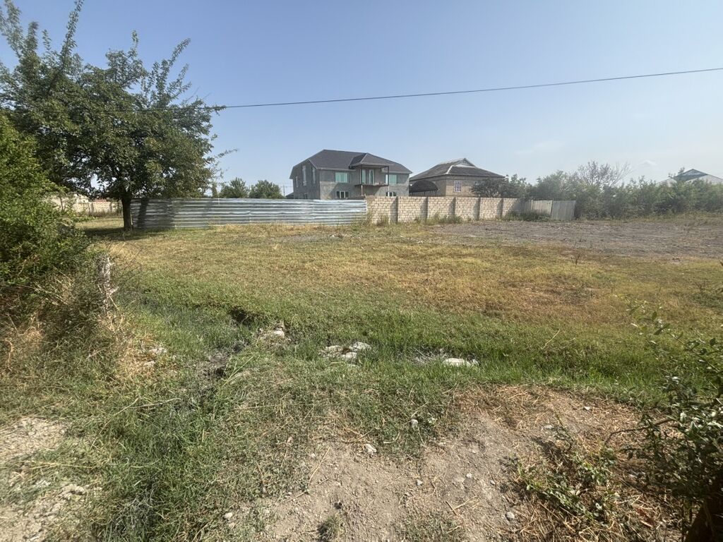 Tikinti — Torpaq, Göyçay (2)