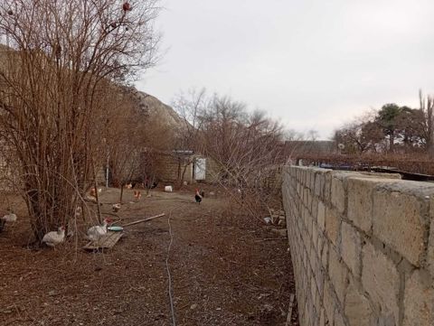 Həyət evi, Mingəçevir ş — Mingəçevir