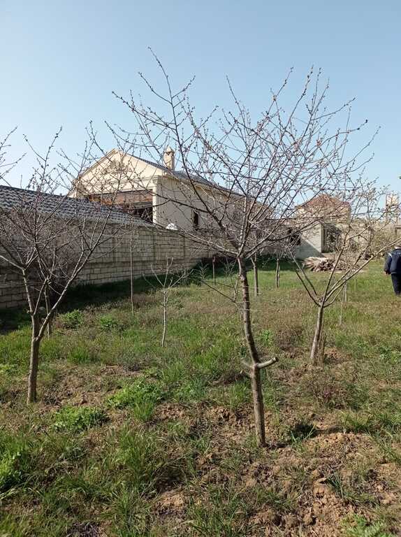 Satılır torpaq 8 sot — Torpaq, Bakı (3)