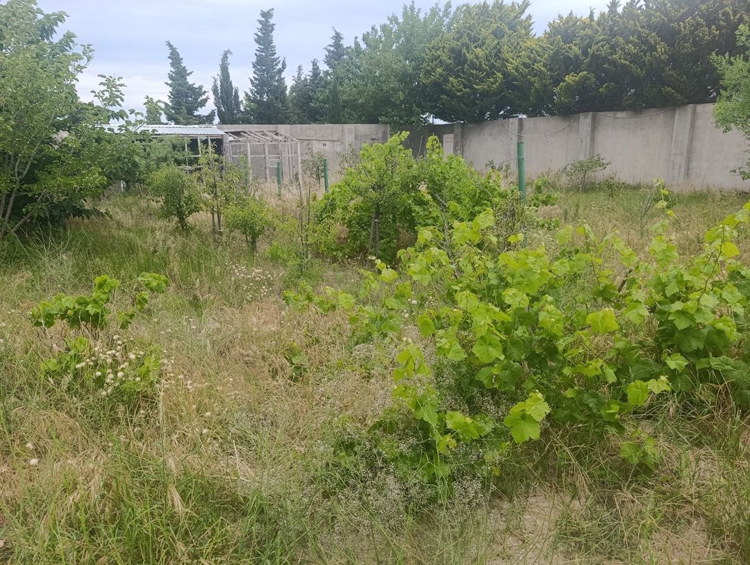 Satılır torpaq 4 sot — Torpaq, Bakı (3)