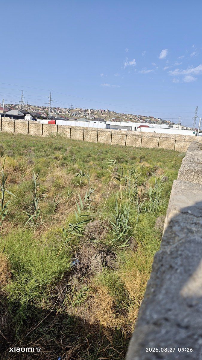 Satılır torpaq 32 sot — Torpaq, Bakı (3)