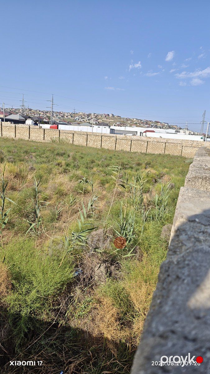 Satılır torpaq 32 sot — Torpaq, Bakı (3)