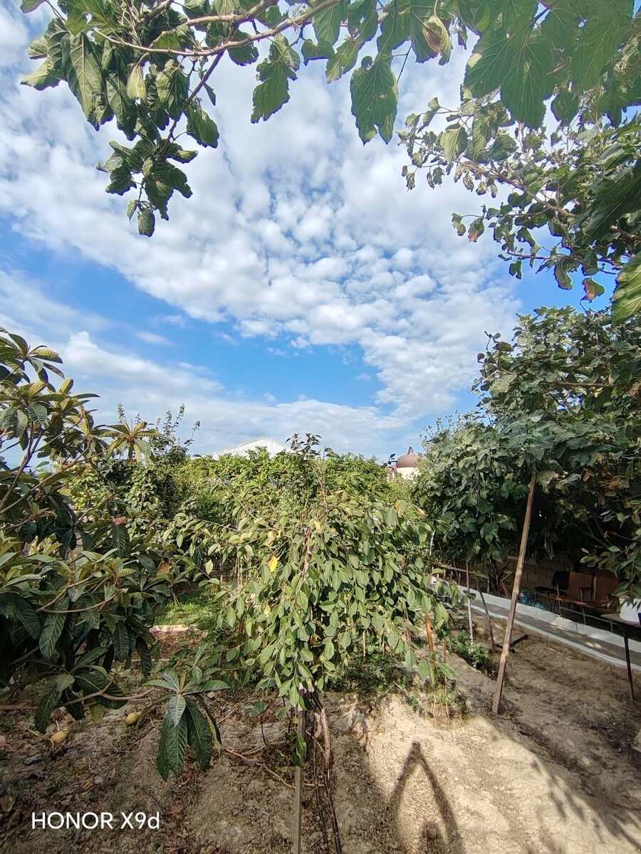 Satılır 3 otaqlı həyət evi/bağ evi 80 m² — Ev, villa, Bakı (6)