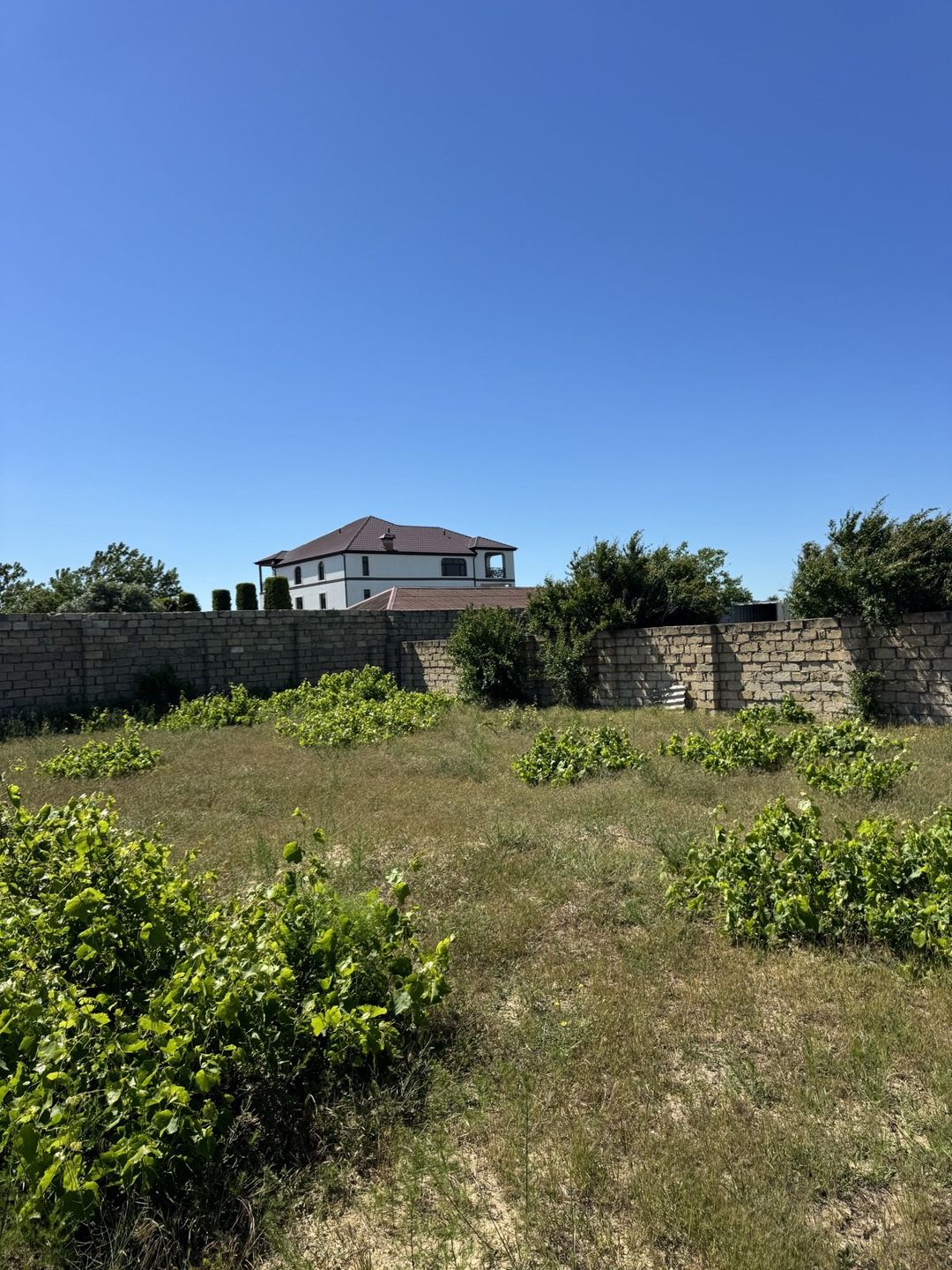Satılır torpaq 4 sot — Torpaq, Bakı (4)