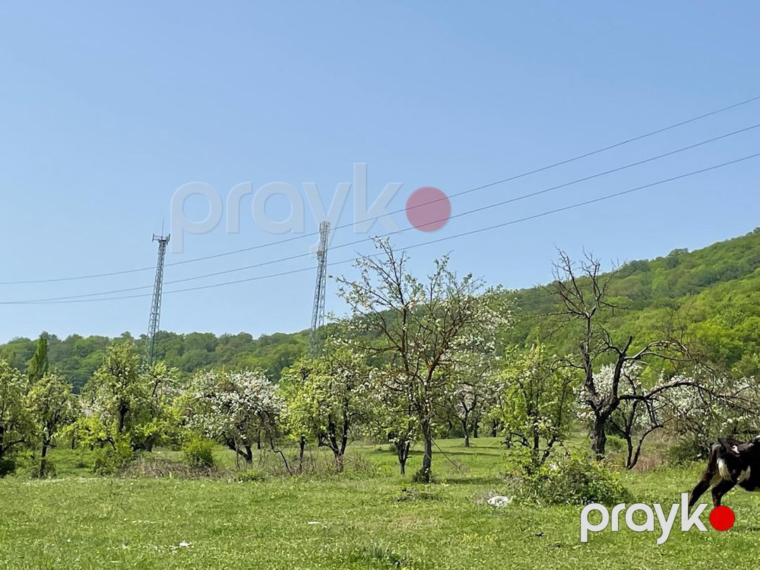 127 sot torpaq sahəsi, Quba r — Torpaq, Quba (7)