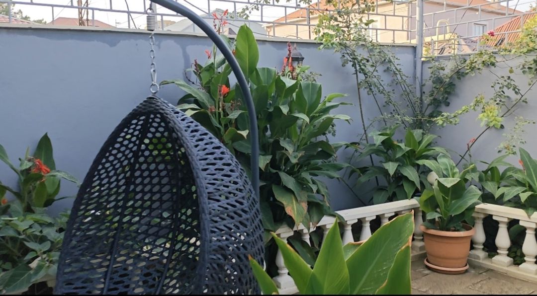 Satılır 3 otaqlı həyət evi/bağ evi 75 m² — Ev, villa, Bakı (5)