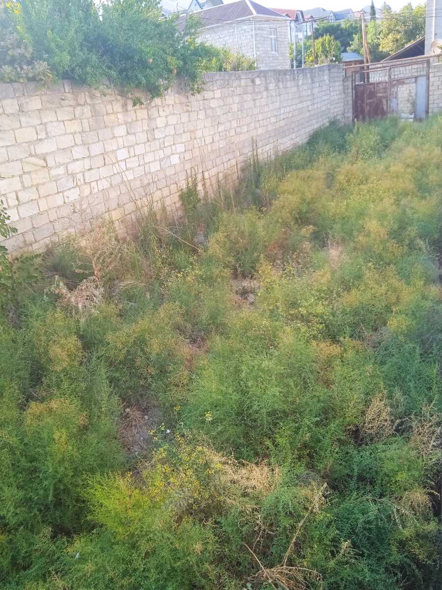 Satılır torpaq 9 sot — Torpaq, Bakı (4)
