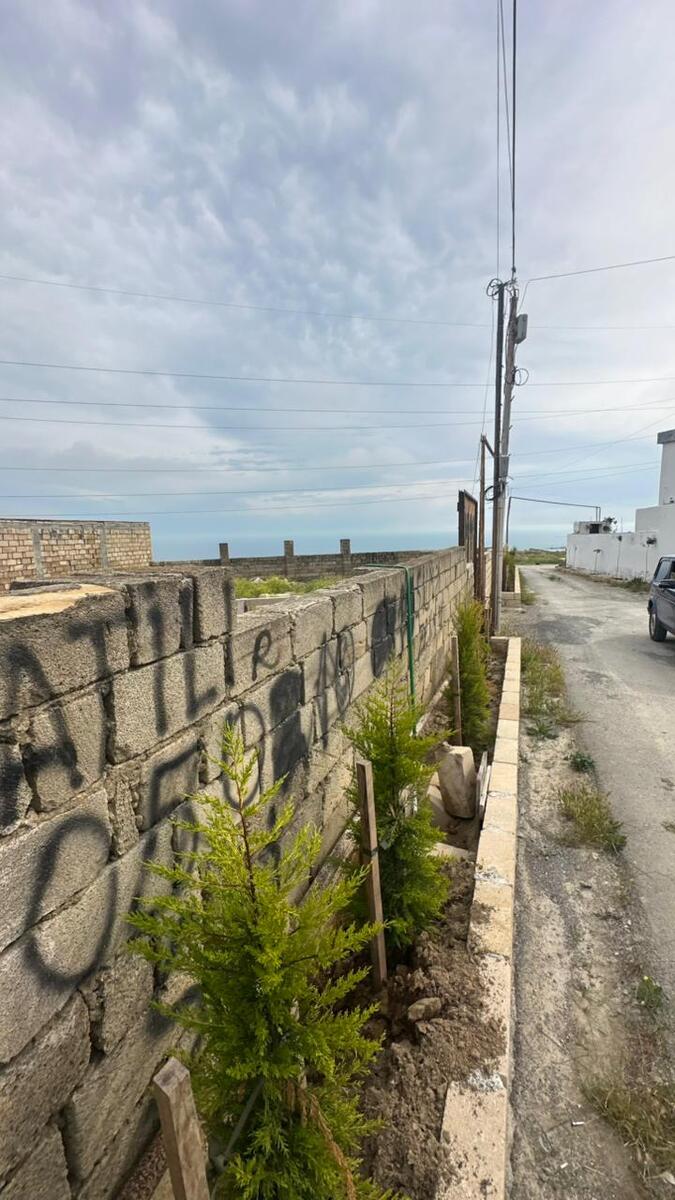 Satılır torpaq 4 sot — Torpaq, Bakı (4)