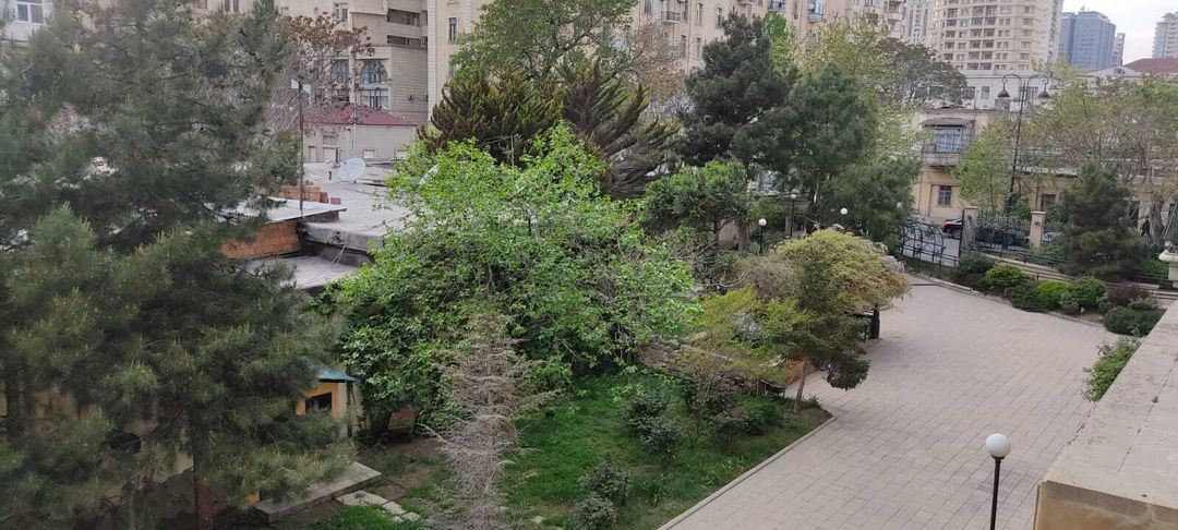 İcarəyə verilir 4 otaqlı yeni tikili 220 m² — Mənzil, Bakı (12)