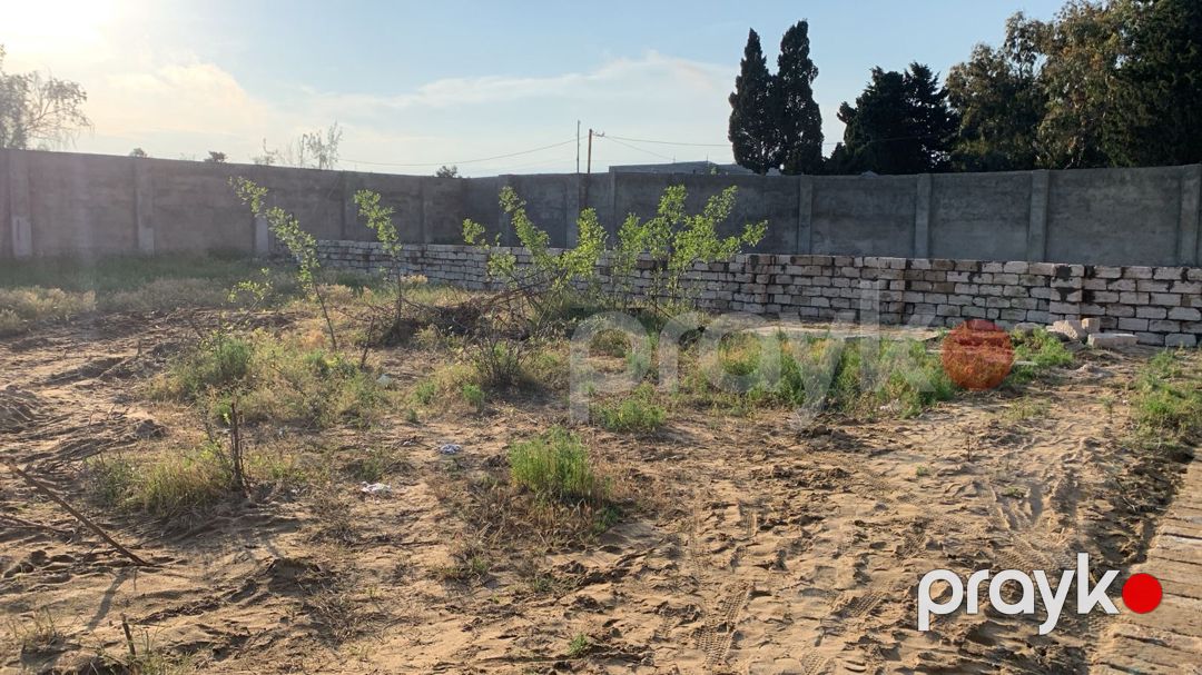 Satılır torpaq 6 sot — Torpaq, Bakı (4)