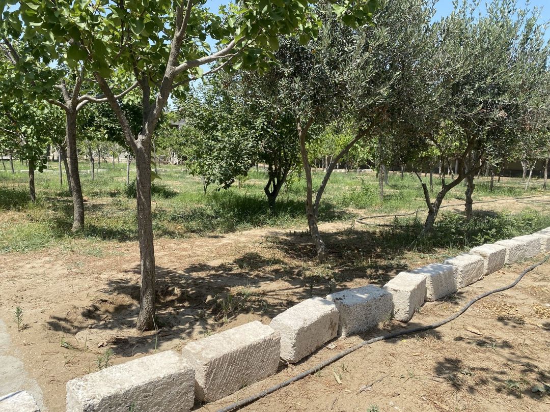 Satılır torpaq 7 sot — Torpaq, Bakı (5)