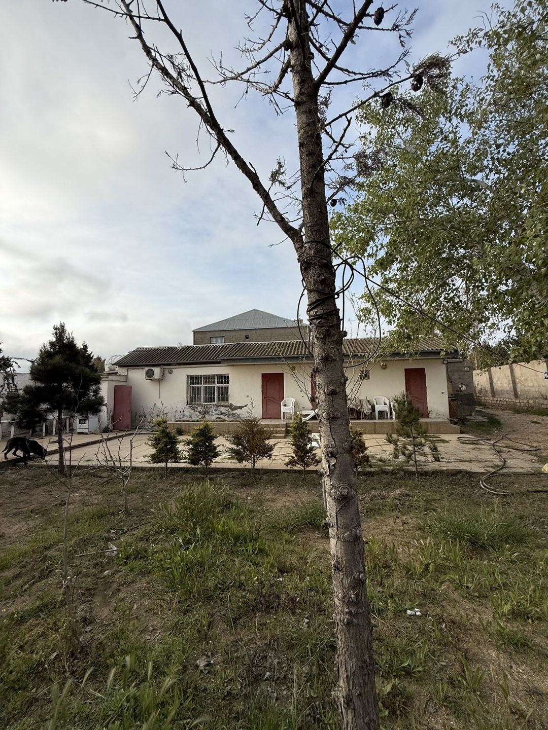 Satılır 10 otaqlı həyət evi/bağ evi 390 m² — Ev, villa, Bakı (5)