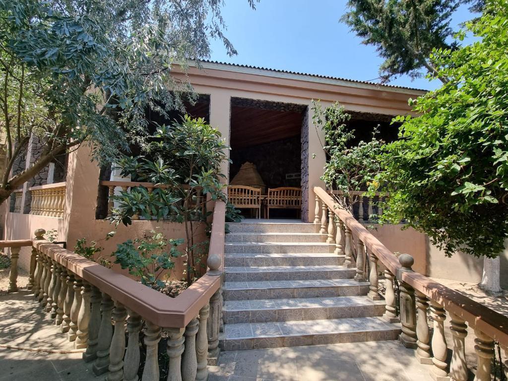 İcarəyə verilir 5 otaqlı həyət evi/bağ evi 400 m² — Ev, villa, Bakı (9)