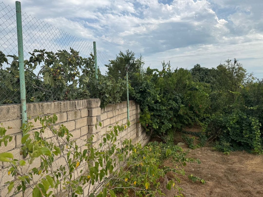 Satılır torpaq 6 sot — Torpaq, Bakı (11)