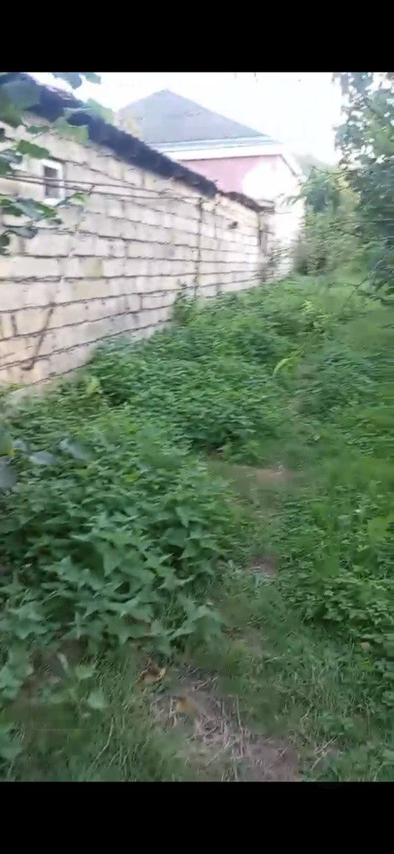 26 sot torpaq sahəsi, Quba r — Torpaq, Quba (8)