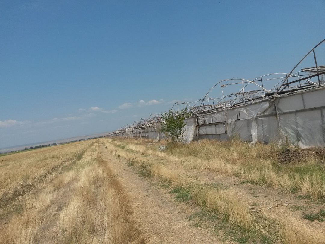 Satılır torpaq 646 sot — Torpaq, Şəmkir (4)