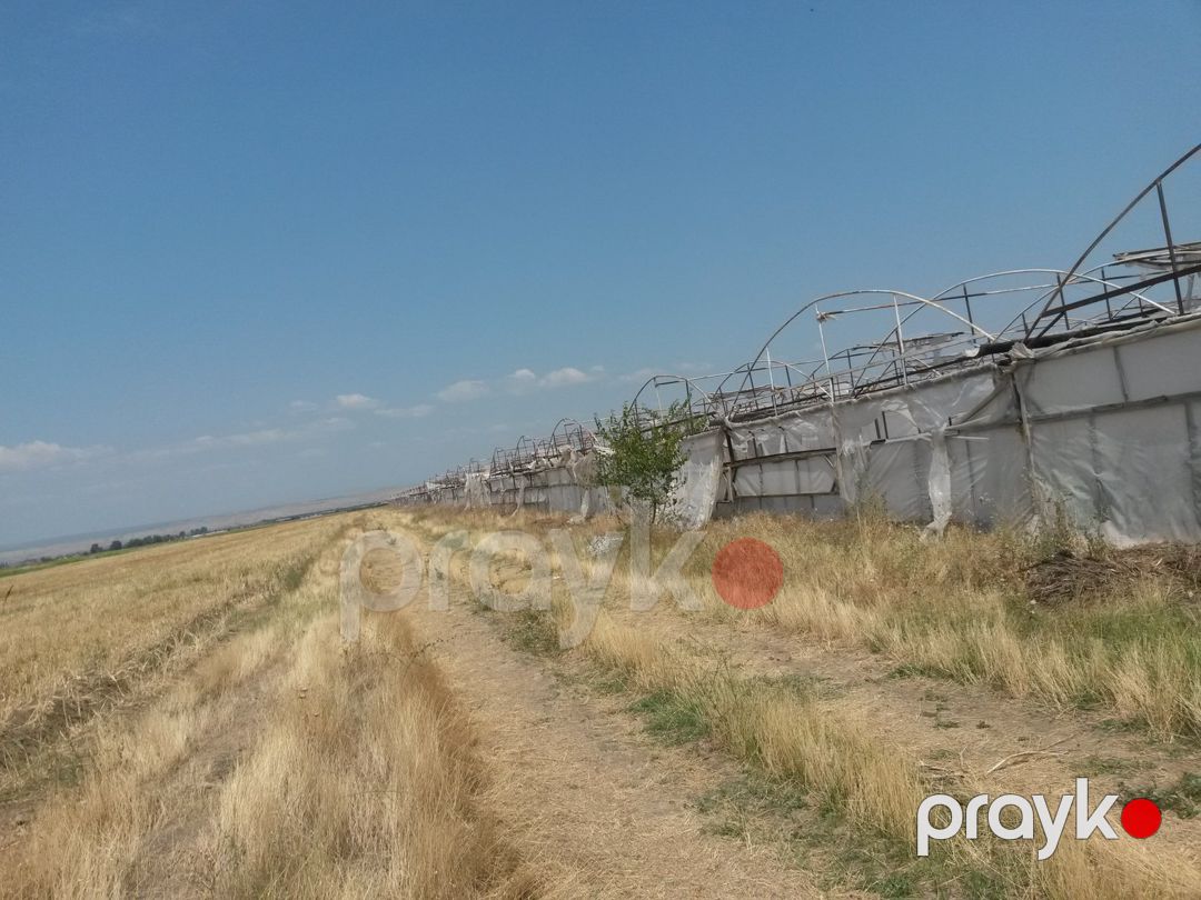 Satılır torpaq 646 sot — Torpaq, Şəmkir (4)