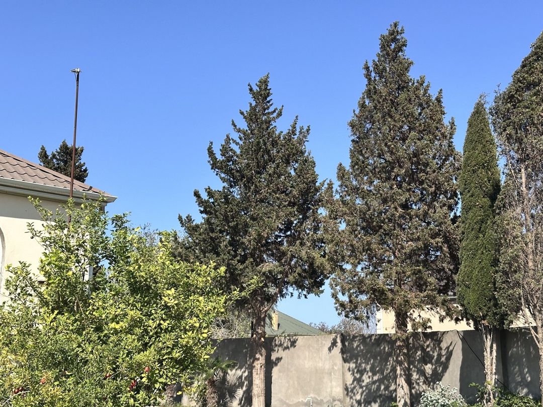 Satılır torpaq 8 sot — Torpaq, Bakı (4)