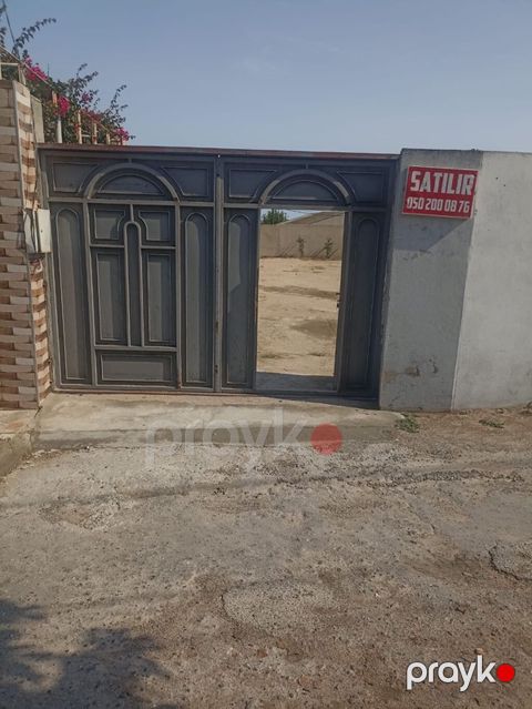 6 sot, Tikinti, Mülkiyyətçi, Kupça (Çıxarış)