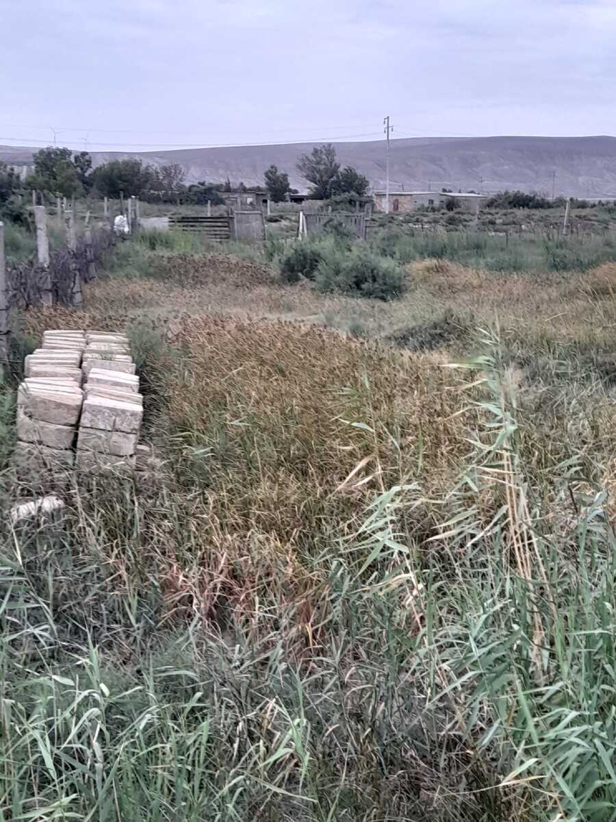 10 sot torpaq sahəsi, Sumqayıt ş — Torpaq, Sumqayıt (3)
