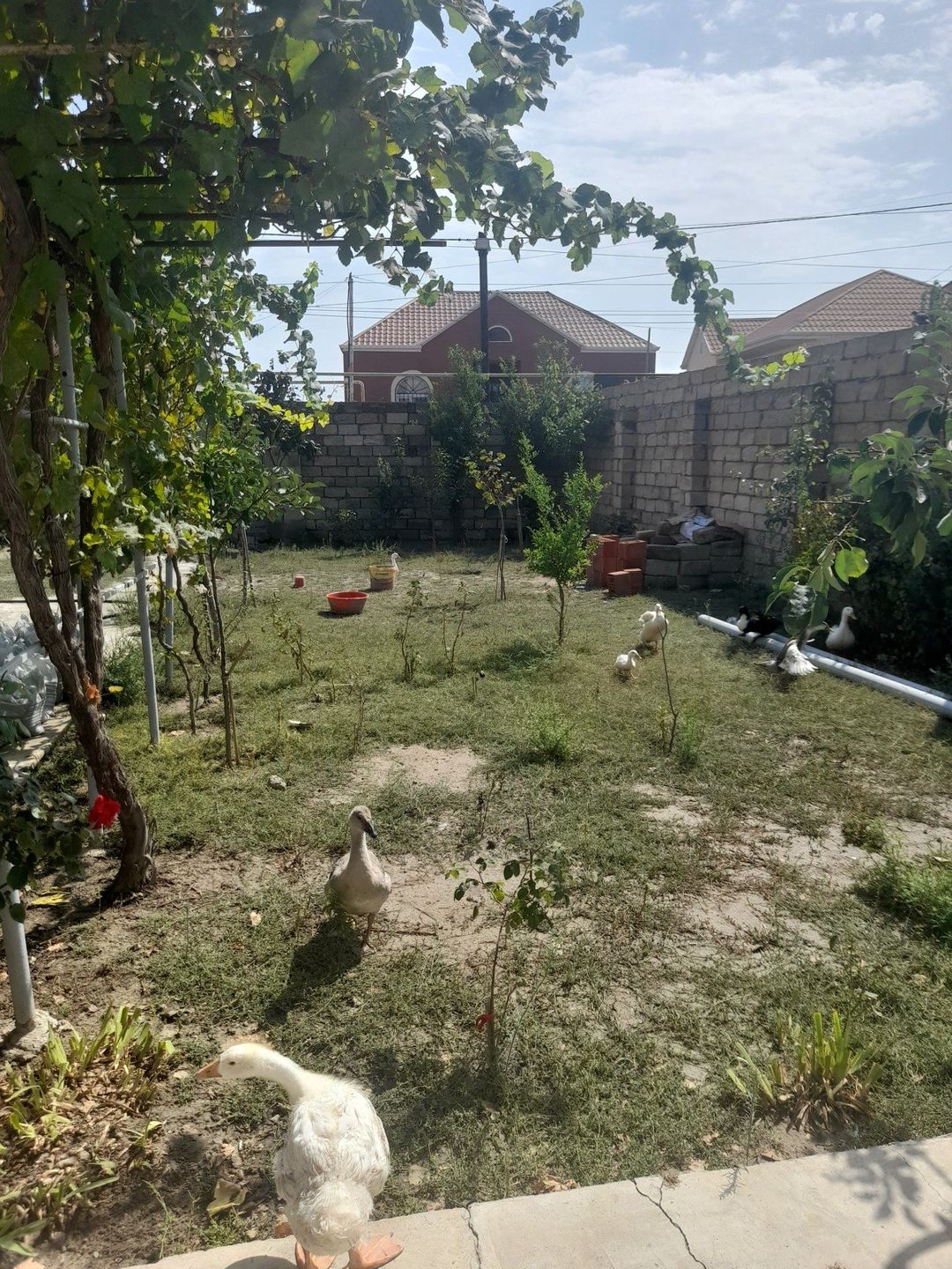 Satılır 4 otaqlı həyət evi/bağ evi 95 m² — Ev, villa, Bakı (9)
