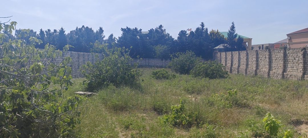 Satılır torpaq 24 sot — Torpaq, Bakı (12)