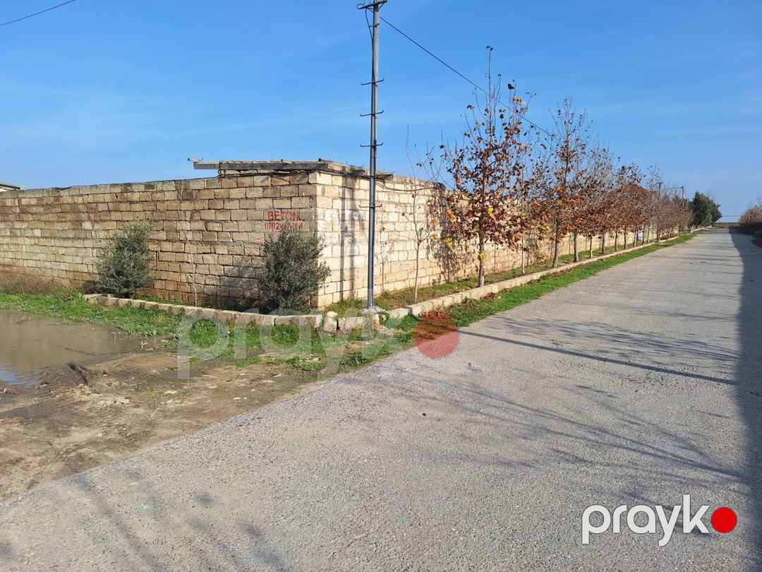 200 sot torpaq sahəsi, Binə qəs — Torpaq, Bakı (5)