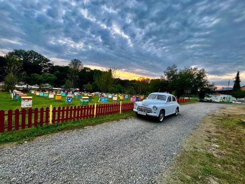 GAZ M-20 "Pobeda", 2.1 L, 1953 il, 100 000 km — Şəki