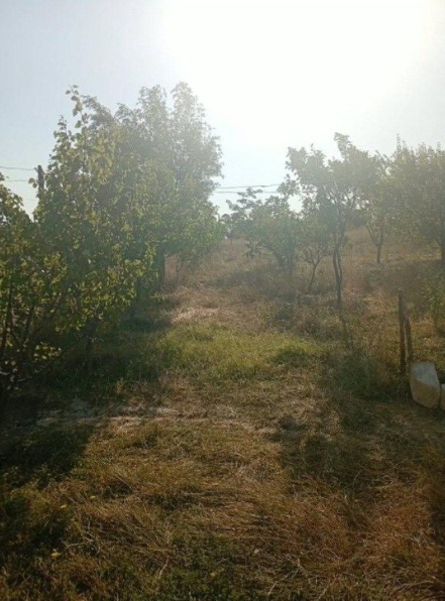 Satılır 3 otaqlı həyət evi/bağ evi 100 m² — Ev, villa, Qobustan (3)