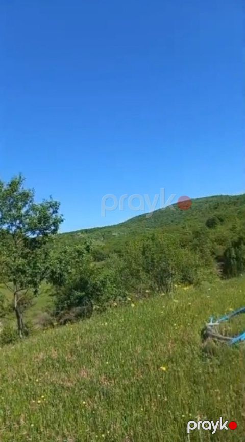 Satılır torpaq 170 sot