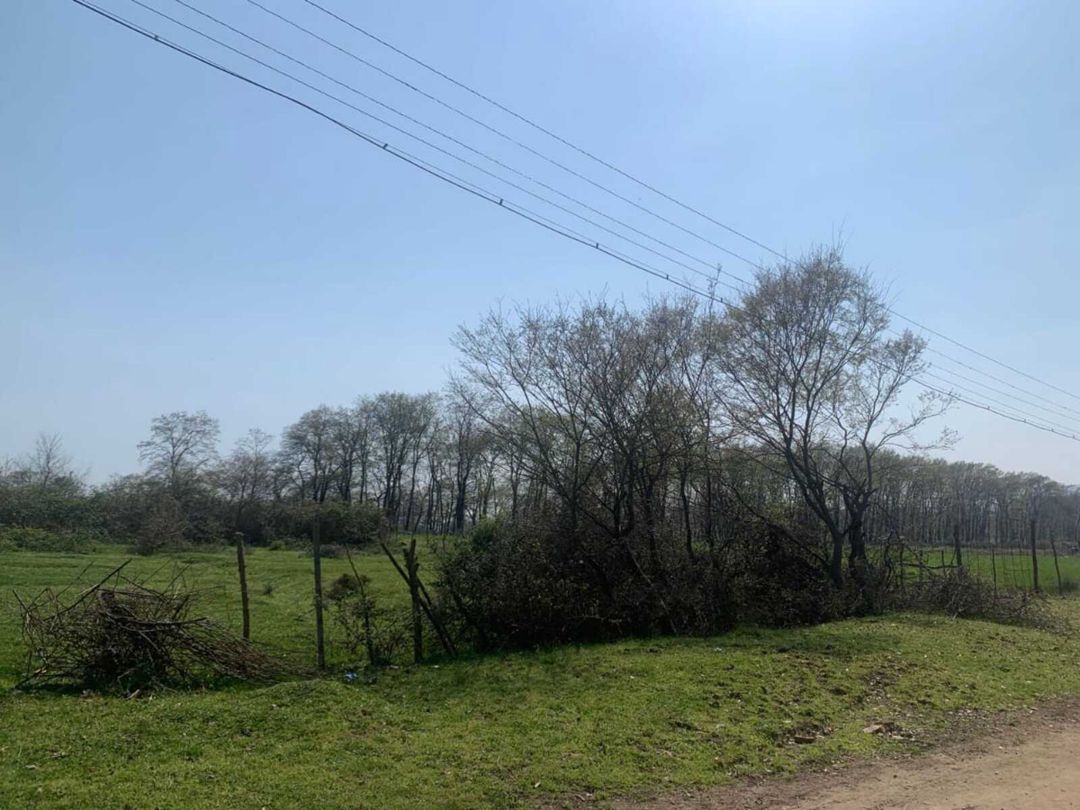 Satılır torpaq 45 sot — Torpaq, Lənkəran (6)