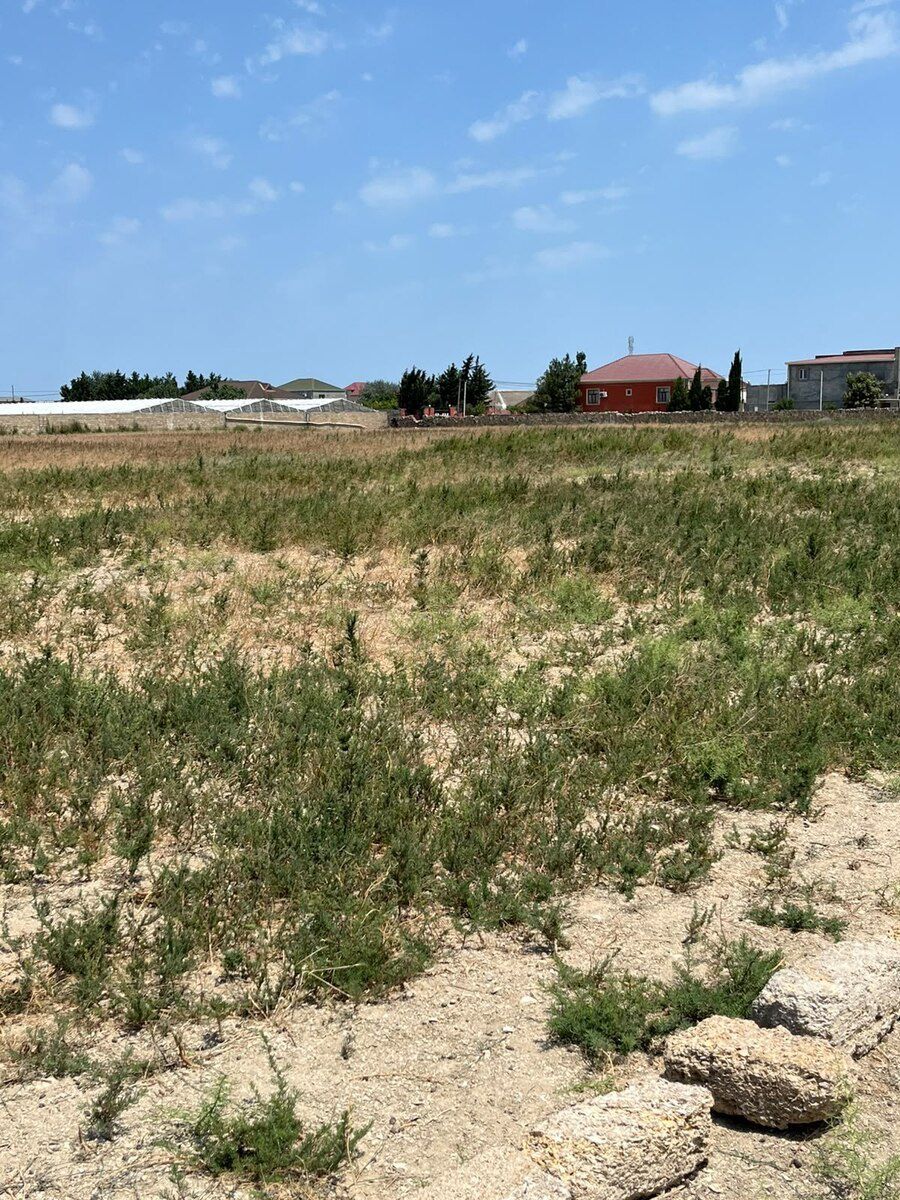 6 sot torpaq sahəsi, Türkan qəs — Torpaq, Bakı (3)