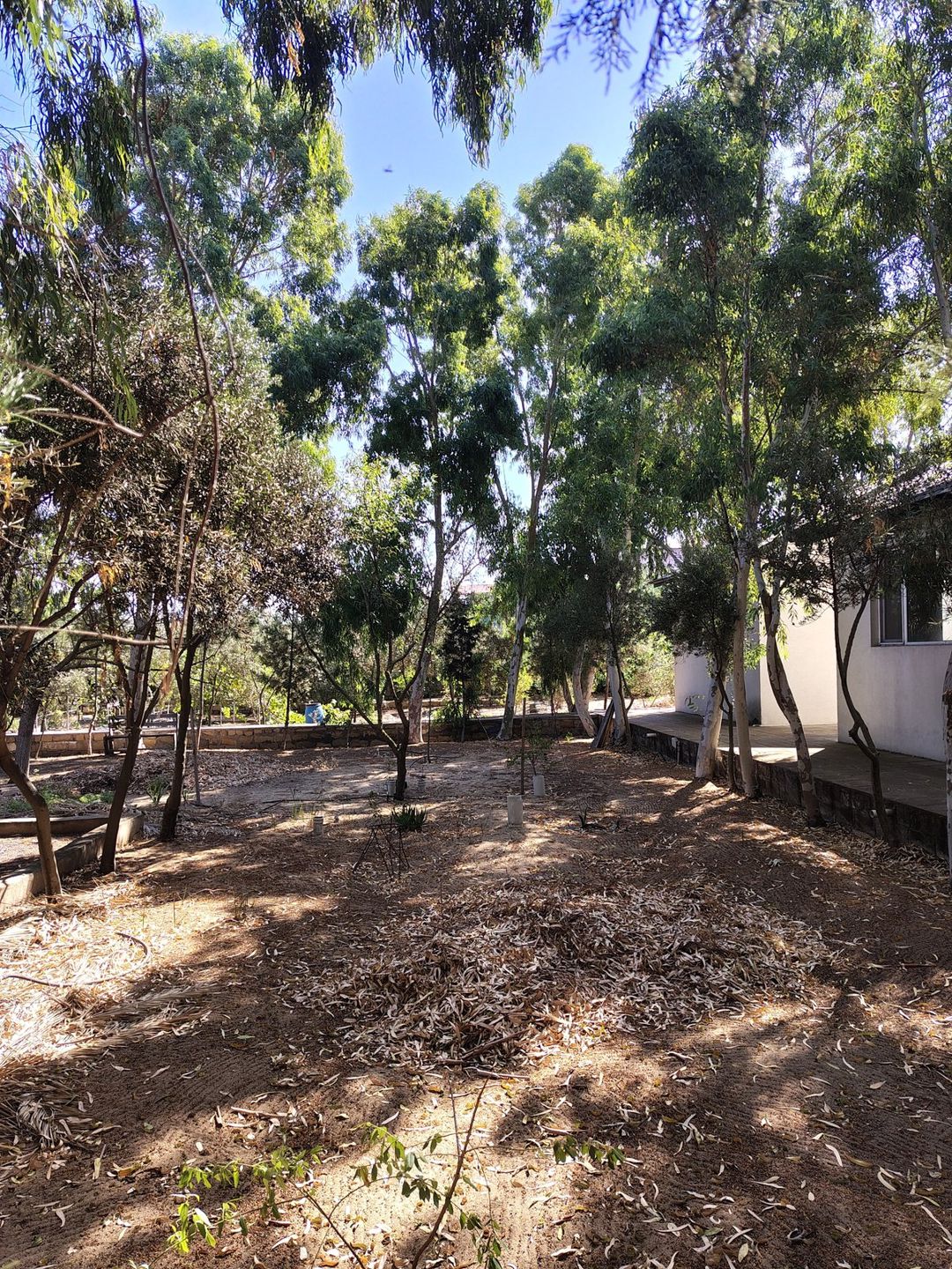 Satılır 7 otaqlı həyət evi/bağ evi 170 m² — Ev, villa, Bakı (2)
