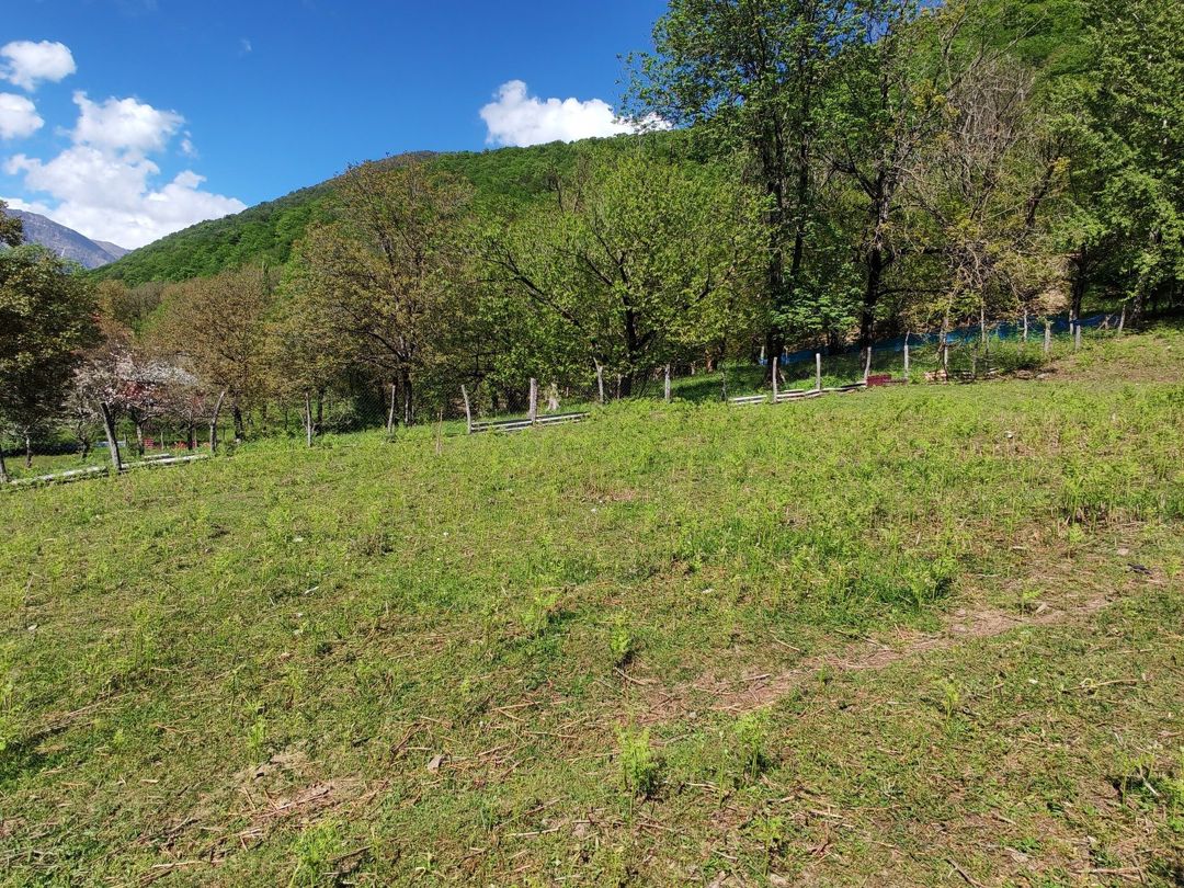 Satılır torpaq 41 sot — Torpaq, Qəbələ (2)