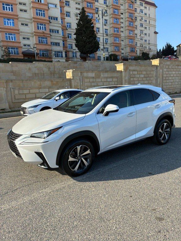 Lexus NX 300, 2.0 L, 2018 il, 49 900 km — Avtomobillər, Bakı (2)
