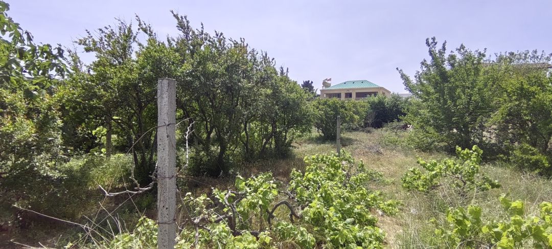 Satılır torpaq 24 sot — Torpaq, Bakı (7)