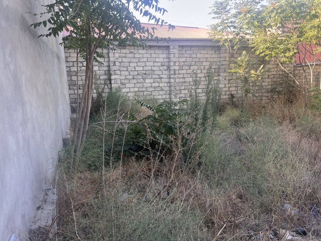 Satılır torpaq 2 sot — Torpaq, Bakı (6)