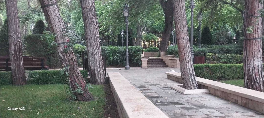 İcarəyə verilir 3 otaqlı yeni tikili 170 m² — Mənzil, Bakı (3)