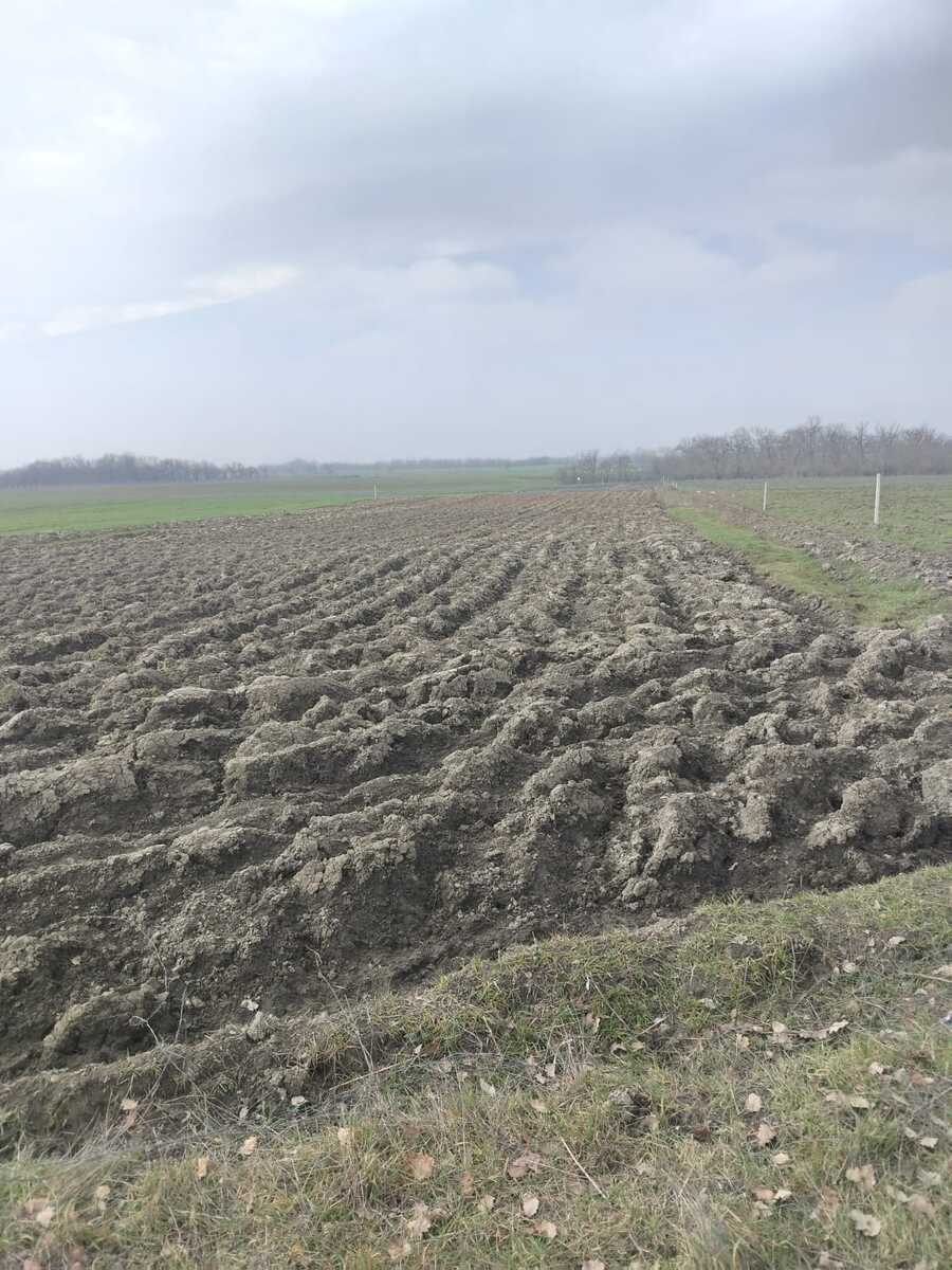 Satılır torpaq 56 sot — Torpaq, Xudat (2)