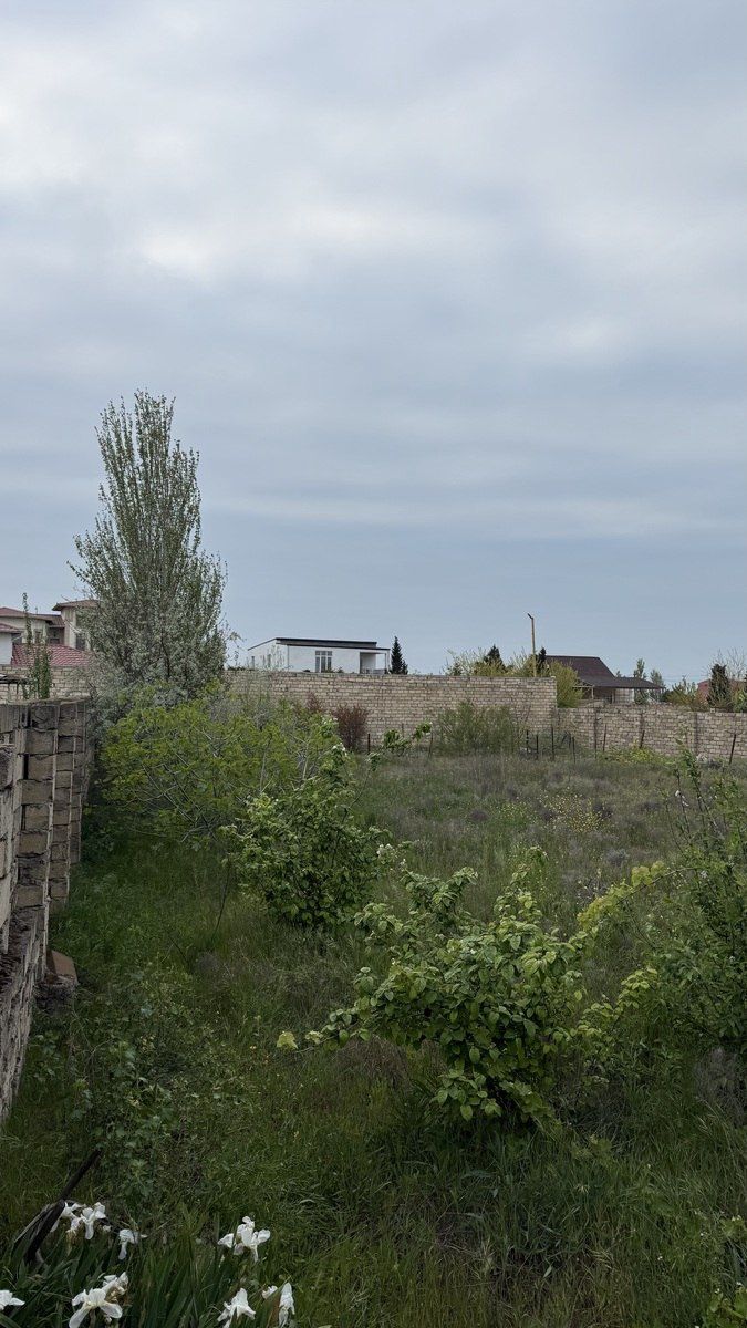 Satılır torpaq 10 sot — Torpaq, Bakı (4)