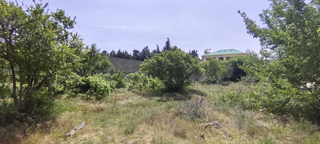 Satılır torpaq 24 sot — Torpaq, Bakı (8)
